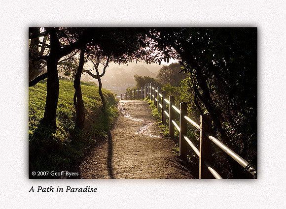 A Path in Paradise