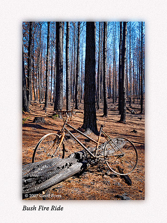 Bush Fire Ride
