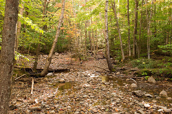 Mt Willard, Crawford Notch SP, White Mountains, NH