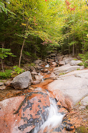 Above Flume Gorge, Franconia Notch State Park, NH