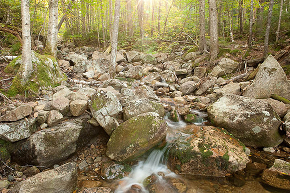 Mt Willard, Crawford Notch SP, White Mountains, NH